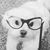 Jennifer Weber's profile image