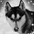 Rosie Baker's profile image