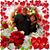 Evelyn Muniz Salsberry's profile image
