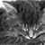 Julie Eberhardt's profile image