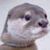 Glen Henson's profile image
