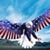 David Determann's profile image