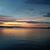 Lynn Ricks's profile image