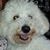 Shirley Steele's profile image