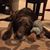 Asha Quattrocchi's profile image