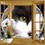 Laurie Pas's profile image