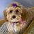 Marlene Farris Rama-Hohman's profile image