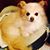 Theresa Tam's profile image