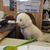 Littleman Rackley's profile image
