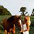 Morgan Wichlinski's profile image