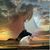 Cinzia Di Lello's profile image