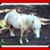 Debra Maye Williams's profile image