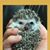 Amy Edelen's profile image