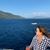 Jeannette Spinelli's profile image