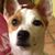 John Weiss's profile image