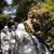 Susan Lamb-Forrester's profile image