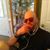 Kyle Wyndel Martin's profile image