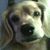 Michelle Hawn's profile image