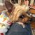 Shannon Ormand Holder's profile image