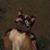 Jose G Torres's profile image