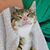 LuAnne Farnsworth's profile image