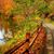 Debra StDennis Hallstrom's profile image