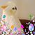 Laura Castelletti's profile image