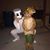 Helen Rodriguez's profile image