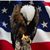 Jamie Dumas May's profile image