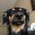 Elma Belitz's profile image
