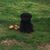Susie Hepstall's profile image
