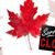Jerri Casey's profile image
