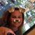 Colette Boudreaux Plauche's profile image