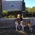 Sheri Nelk's profile image