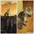Fannie L Malone's profile image