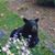 Nancy Iha's profile image