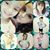 Elena Maria Ortiz's profile image
