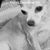 Kitty Swearingen Scott's profile image