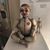 Kathy Bloodworth's profile image