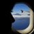 Angeliki Zografos's profile image