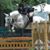 Denise Whitesell Luckey's profile image
