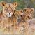 Jeanne M Peiffer's profile image