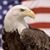 Steven Giles's profile image