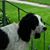 Mari Danielson's profile image