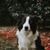 Elizabeth James's profile image
