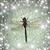 Sue Turner's profile image