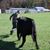 Jay Noonan's profile image