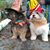 Peggy O'Neill Drabinski's profile image