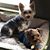 Jo Ann Kueck's profile image