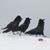 Karen Gerow Arquette's profile image